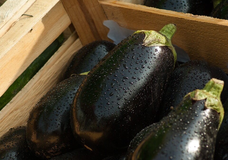 Eggplant: Not Just a Sexy Emoji!